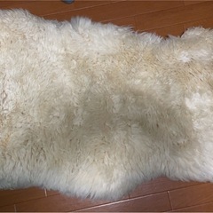 12/10まで　オーストラリア　　ラム　ムートンラグの画像