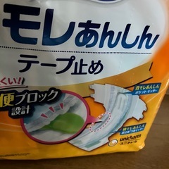 介護オムツ　Lサイズ　ライフリーの画像