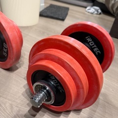 アイロテック　iROTEC ダンベルセット 20kg×2の画像