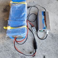 ジャンクバッテリーと充電器のセット2の画像