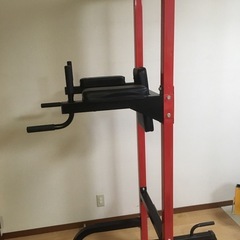 ファイティングロード　チン&ディップスジムの画像