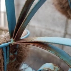 12/14((日)）まで　ジャンク品　孔雀　プランター　親子セットの画像