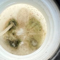 手動噴霧器の画像