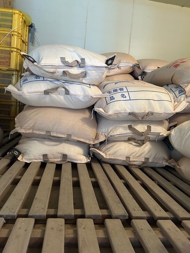 【一旦問い合わせを中断させて頂きます】令和7年産　コシヒカリ　籾30キロ