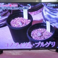 ４Ｋ対応ドンキの５０インチ大画面ＬＥ－５０６０ＴＳ４Ｋ－ＢＫの画像