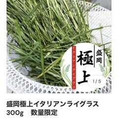 イタリアンライグラス　2袋セット
の画像