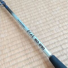 Daiwa ダイワ 剣崎 50-210 釣り竿 ロッド ケース付 釣竿 竿 釣具 釣りの画像