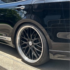 ホーイル、マルチフォルケッタの画像