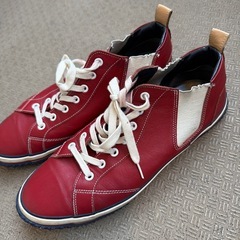 NIKE スニーカーの画像