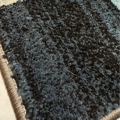 ラグ　ニトリの画像