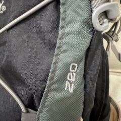 グレゴリーのリュックの画像