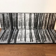 IKEA プィエッテリード 2枚セット モノクロキャンバスポスター PJATTERYD 壁飾り木製フレーム インテリア装飾 展示品・アウトレットの画像