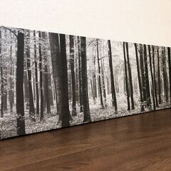 IKEA プィエッテリード 2枚セット モノクロキャンバスポスター PJATTERYD 壁飾り木製フレーム インテリア装飾 展示品・アウトレットの画像