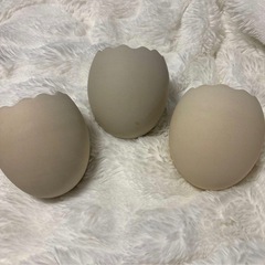 ハムスター用品の画像