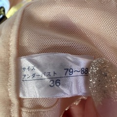 フォーシスアンドカンパニー　グラマラスビスチェ36の画像