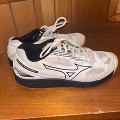 バレーボールシューズの画像