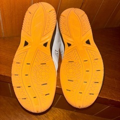 バレーボールシューズの画像