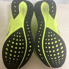 NIKE ナイキPegasus 41 ペガサス41 ボルトイエロー 25.5cmの画像