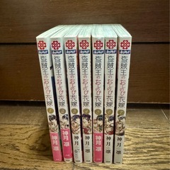 漫画　盗賊王のおしのび花嫁　全巻セットです。の画像