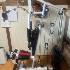 アイロテック　マルチホームジム
の画像
