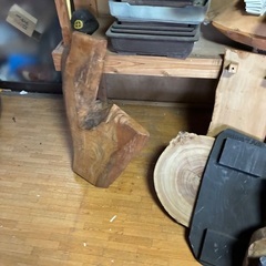 明日来れる方の画像