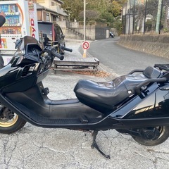 フュージョンX23番台【534】の画像