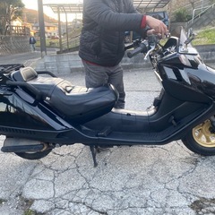 フュージョンX23番台【534】の画像