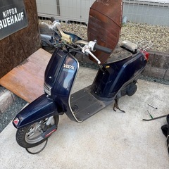 ホンダボーカルの画像