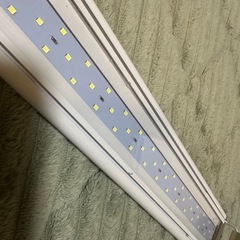 水作 ライトアップ600 ホワイト 60cmの画像