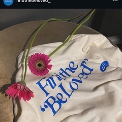 🧚🏻find the be loved Tshirtの画像