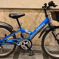 ARMS226アームス22インチJuniorサイクルの画像