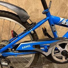ARMS226アームス22インチJuniorサイクルの画像