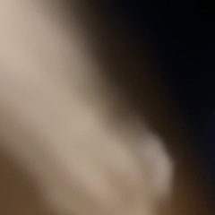 ボア裏ベストの画像