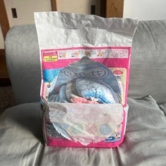 わんちゃん小型犬用紙オムツ　残22枚！！　お値下げしました。問い合わせがない場合処分致します🙇‍♀️の画像