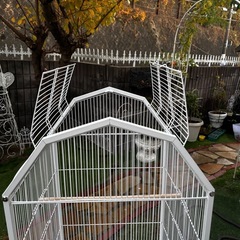 鳥カゴキャスターつきの画像