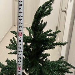 【交渉中】
クリスマスツリーの画像