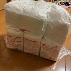 パッドタイプ 男女兼用レギュラーとオムツ Lの画像