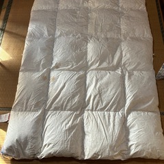 羽毛掛け布団の画像