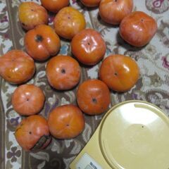 無農薬　富有柿　15個300円　2kg強の画像