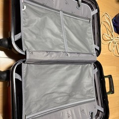 キャリーケース　海外もいけますの画像