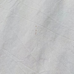 お洒落　大判　インド布　生地の画像