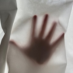 カインズ　レースカーテン　100×175 2枚の画像