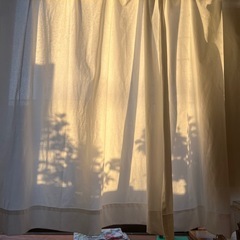 カインズ　レースカーテン　100×175 2枚の画像