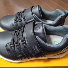 【新品未使用】moonSTAR 20.0cm スニーカーの画像