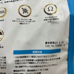 ドッグフードの画像