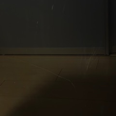 東芝レグザ   の画像