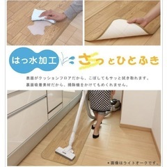 未開封品⭐️キッチンマット　ぴたフロア　43×180センチの画像