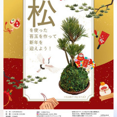 松の苔玉作り〜縁起物“黒松”を飾って2026年をお迎えしよ…