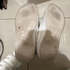 ラコステ　スニーカー　23.5の画像