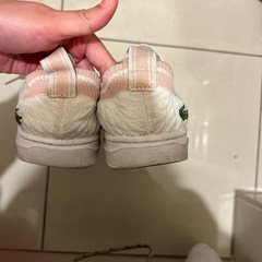 ラコステ　スニーカー　23.5の画像